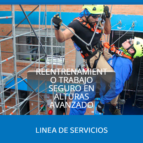 https://www.distribucionyserviciosjas.com/