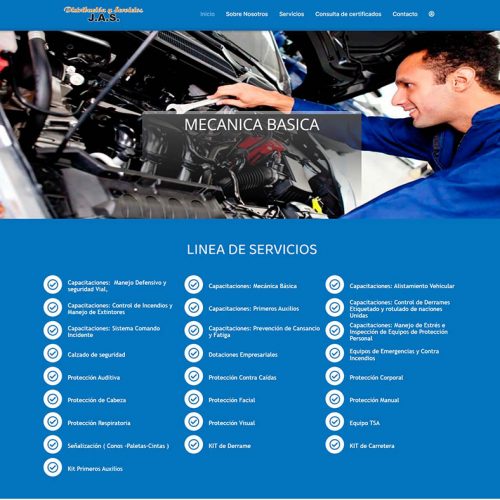 https://www.distribucionyserviciosjas.com/