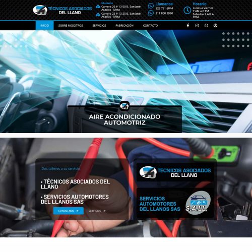Tecnicos Asociados del llano